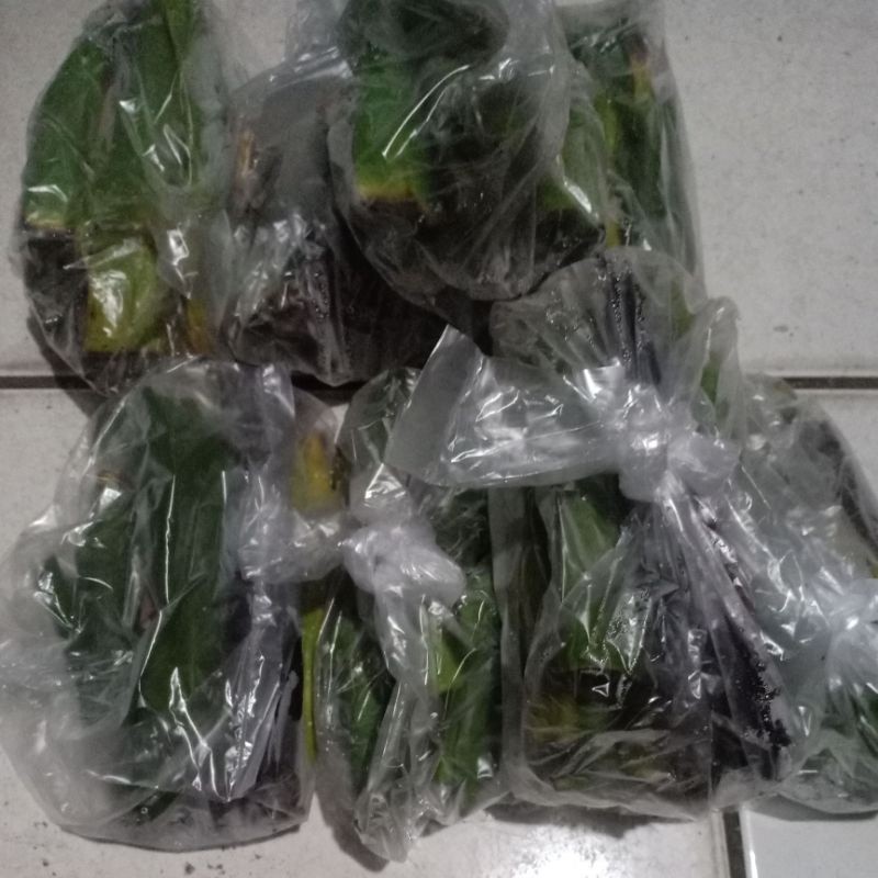[COD] umpan pancing kepompong pisang 30ekor