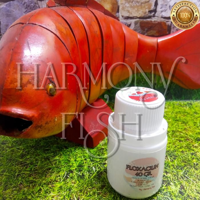FLOXACILIN 40GR Obat Virus Bakteri Luka Fin Tail Rot Enrofloxacin HCL