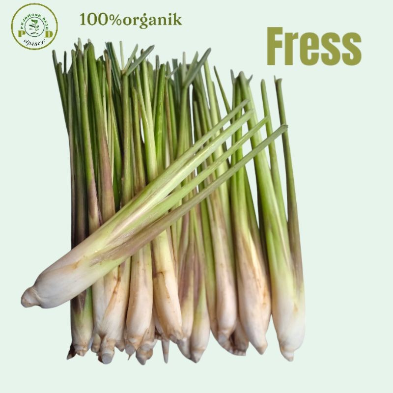 

Serai/Sereh Segar 1kg, Serai Pilihan Langsung Dari Kebun, Sereh Bumbu/Herbal/Rempah2/Sayuran Dll, Serai Bangkok Pilihan termurah