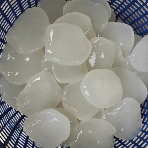 

BIG PROMO Kolang kaling muda dan kenyal / caruluk fresh segar 1 kg ready