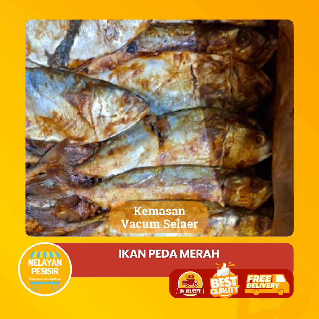 

Ikan Kembung Asin Peda Merah Kering Tanpa Pengawet