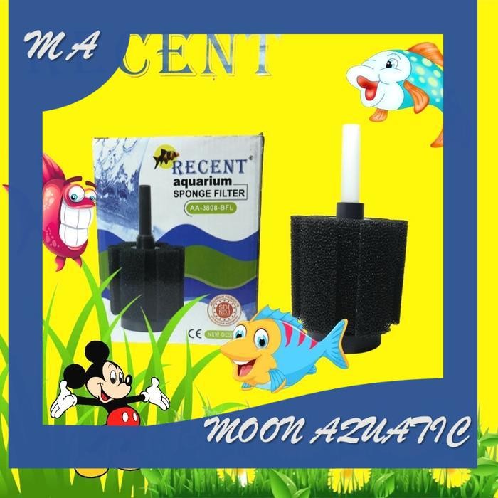 BIOFOAM FILTER RECENT AA 3808 FBL FILTER AERATOR