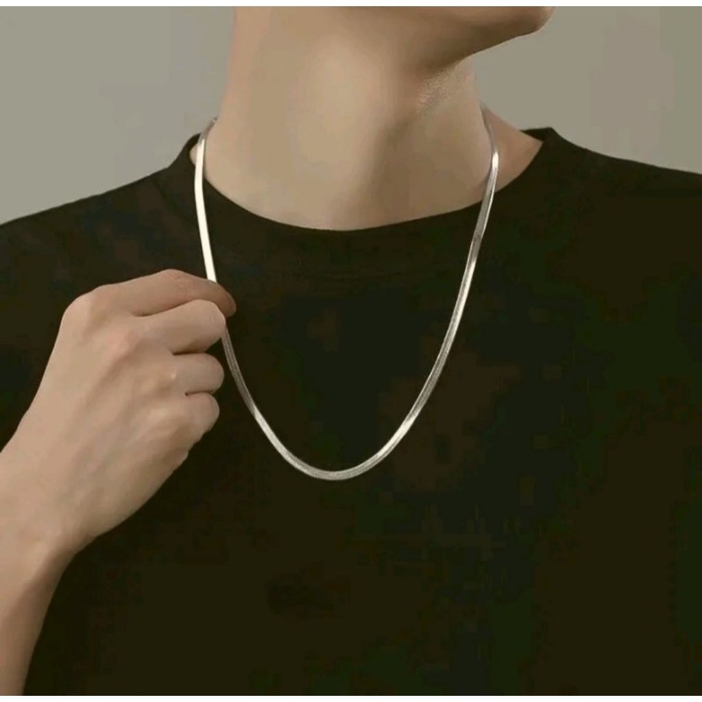 kalung belut titanium silver