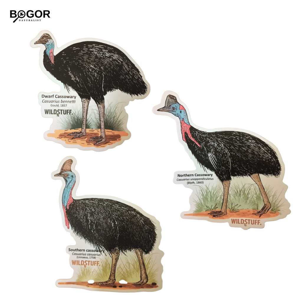 

Stiker Wildstuff Edisi Burung Kasuari