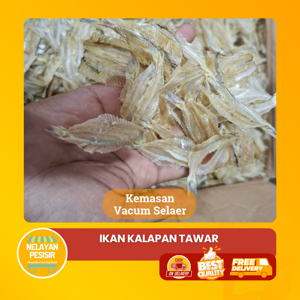 

Ikan Asin Kaca/Sutra/Kalapan Tawar Premium Kering Kriuk Siap Goreng