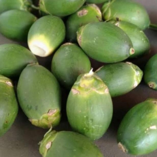 

Ready stok buah pinang ceming Buah Pinang Muda Segar 250gr