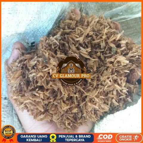 Media Tanam Sekam Asli Bibit Tanaman Super Unggul CV GLAMOUR PRO