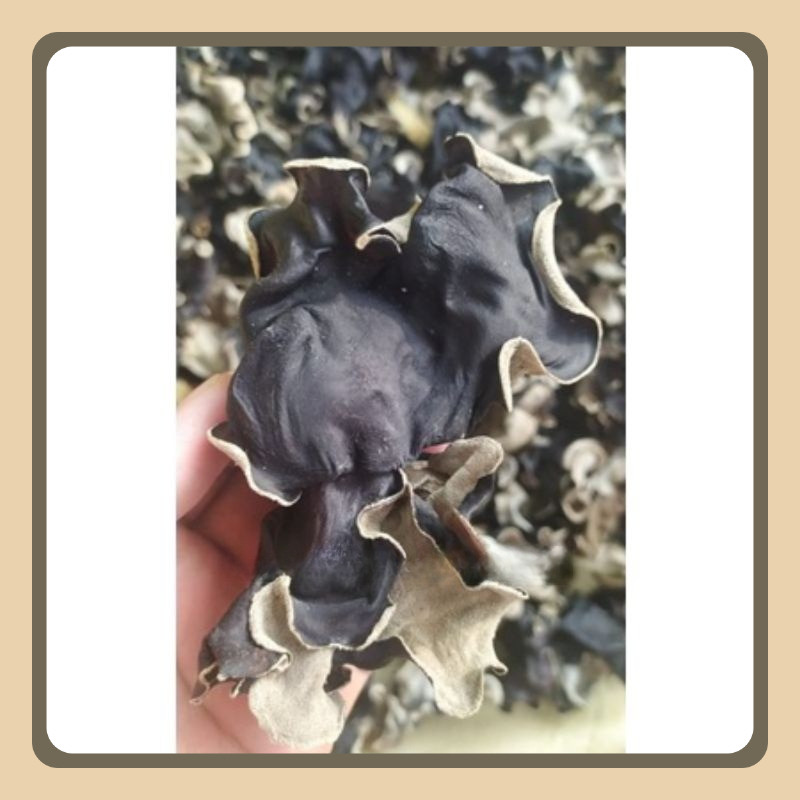 

Jamur Kuping Kering Super Grade A 1000gram