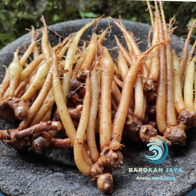 

TEMU KUNCI SEGAR BERKHASIAT ready .