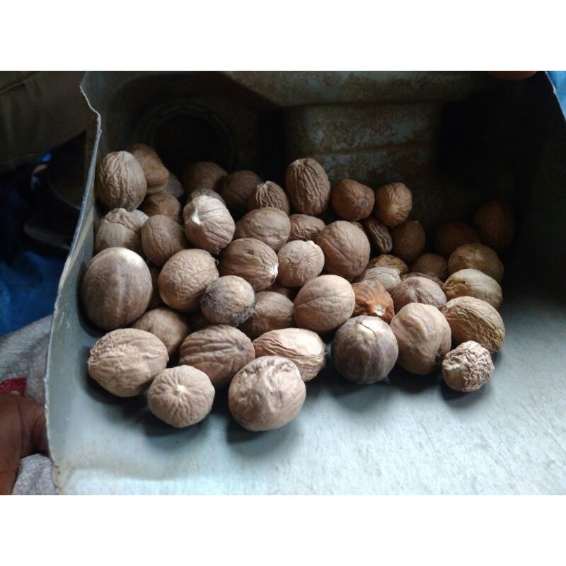 

Buah Pala Kupas Kering, Buah pala premium 1 kg