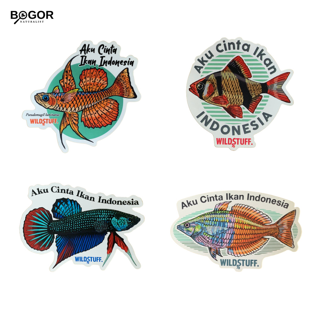 

Stiker Wildstuff edisi Ikan - Aku Cinta Ikan Indonesia