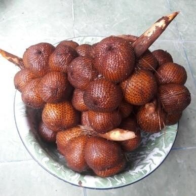 

Salak GULA Pasir Asli Bali