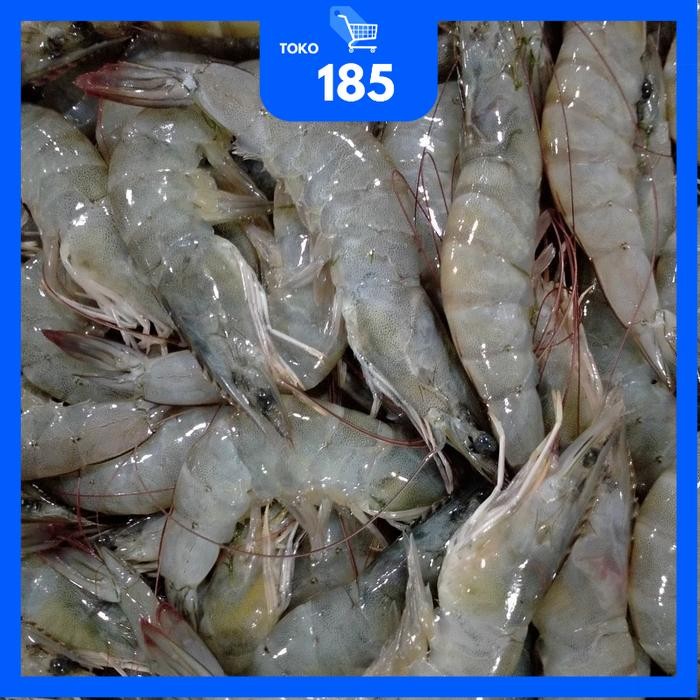 

Udang Vaname / Udang Empang Segar