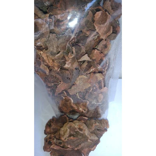 

MURAH Sarang semut 100gr