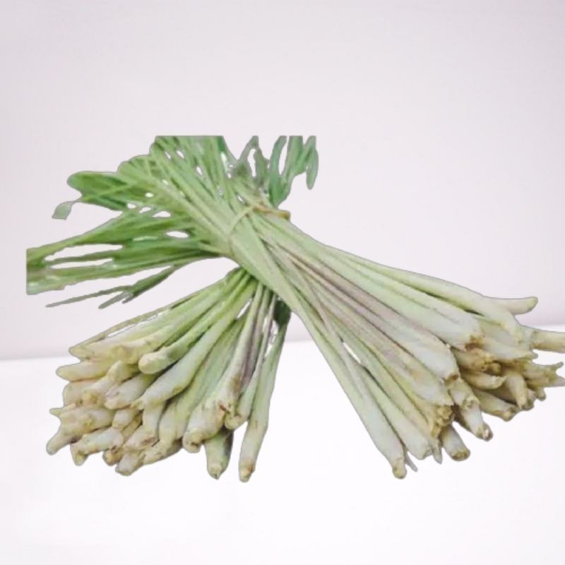 

Promo serei,sereh segar bumbu masak/ 100 grm dan bisa buat obat herbal alami murah kualitas premium