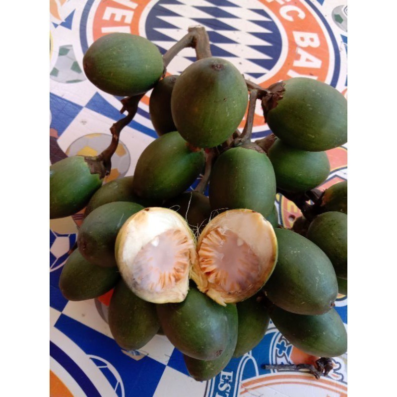 

BUAH JAMBE MUDA SEGAR 500 GRAM ,Buah Pinang Muda