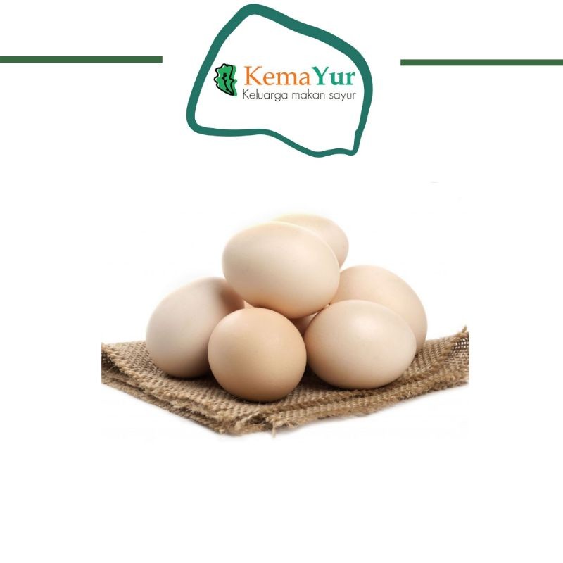 

TELUR AYAM KAMPUNG MENTAH