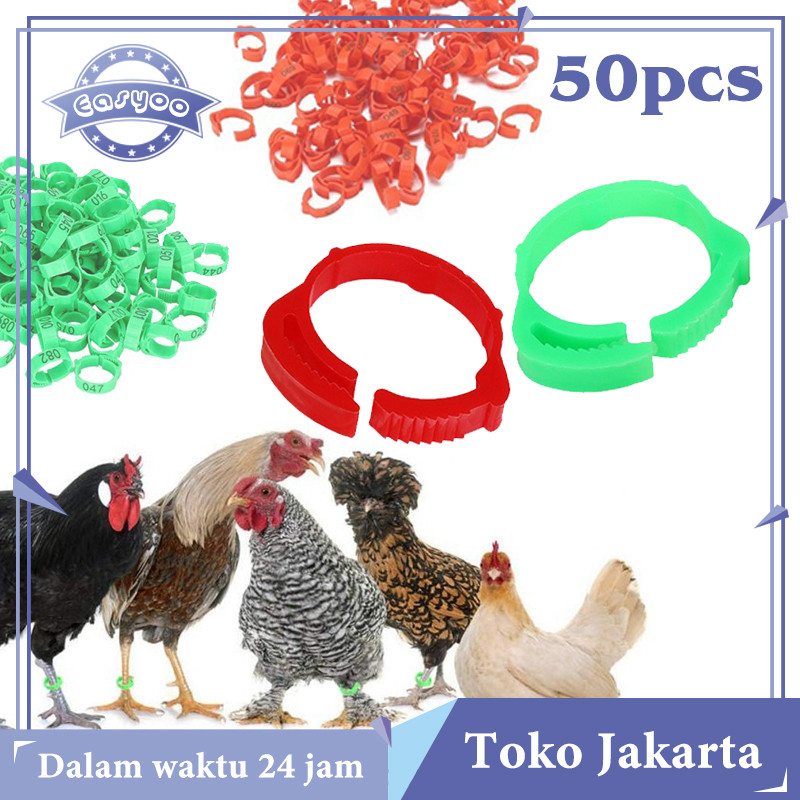 Promo Isi 50 Segel Ayam Kaki Gelang Ayam Plastik Ring Kaki Ayam Bangkok Ring Ayam Bangkok Gelang