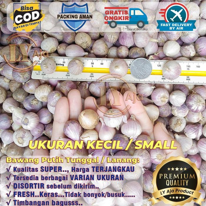 

Bawang Putih Tunggal Lanang 1 Kg 1Kg Kualitas Super LY Aja - Kecil