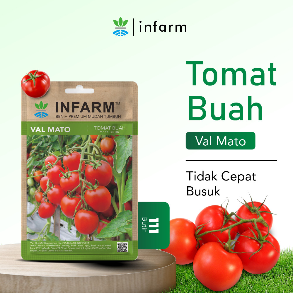 INFARM - Benih Buah Tomat Valmato Bibit Buah Tomat Manis Biji Tomat Buah Valmato Tomat Buah Manis Pr