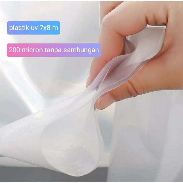 PLASTIK UV 8X7METER 200 MICRON TANPA SAMBUNGAN