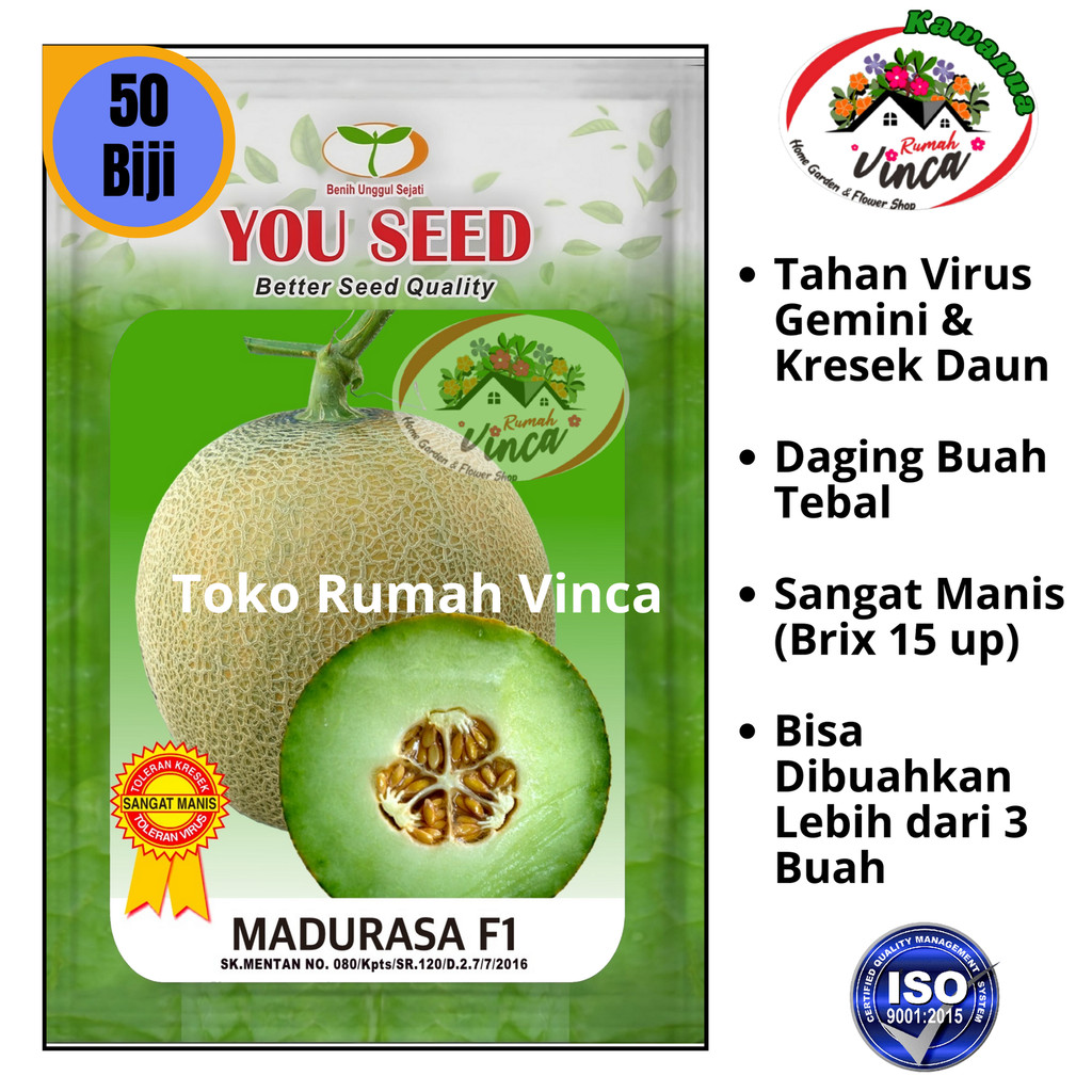 Benih Bibit Melon Madu Tahan Virus MADURASA F1 50 Biji Cap You Seed Tahan Virus