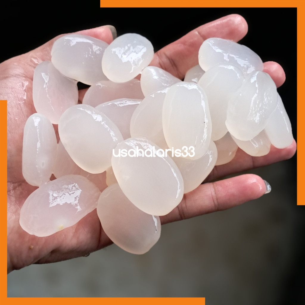

PROMO SEGAR Kolang Kaling Segar 1 Kg ready