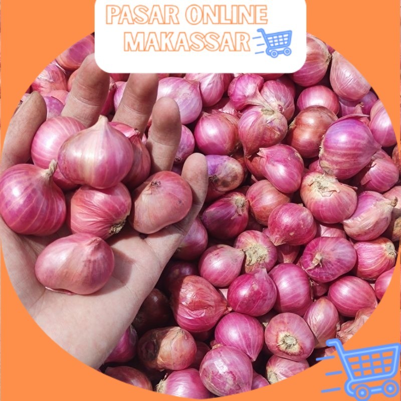 

Bawang Merah Bima Super Ukuran Sedang dan Besar