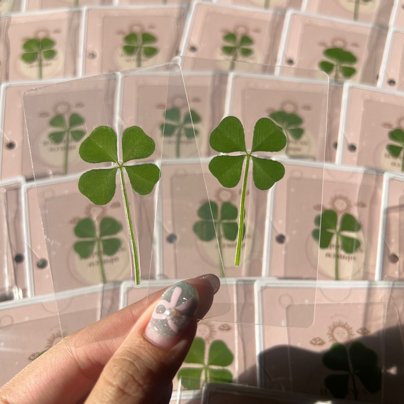 

JAMIN MURAH !!!Lucky Four-Leaf Clover Melalui Kartu Wishes Good Luck Hadiah Penyembuhan untuk Teman Kartu Transparan(BISA LANGSUNG ORDER)