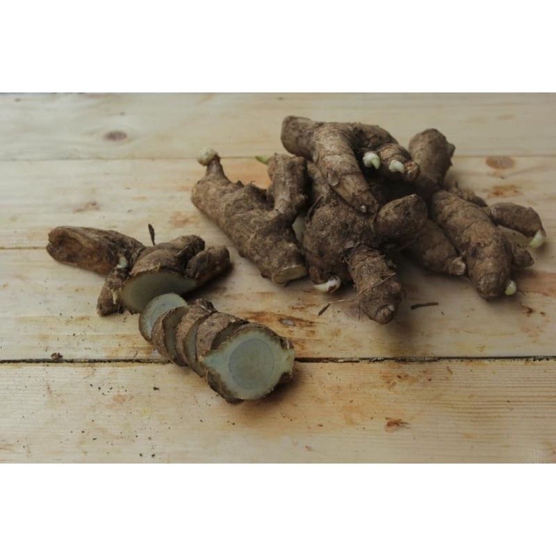 

Ready stok Temu Hitam/Temu Ireng 1kg fresh