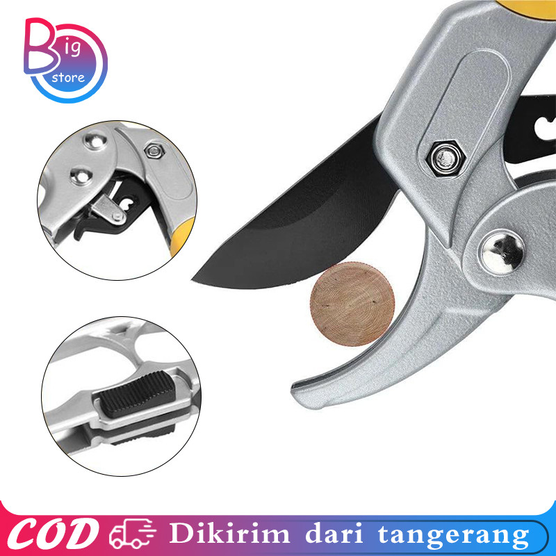 Gunting Ranting Pohon Gunting Pohon Gunting Dahan Dan Ranting Gunting Dahan Dan Ranting 1 Set Guntin