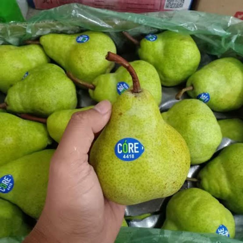 

[Termurah] Pear Hijau Pir Packham 1 Kg