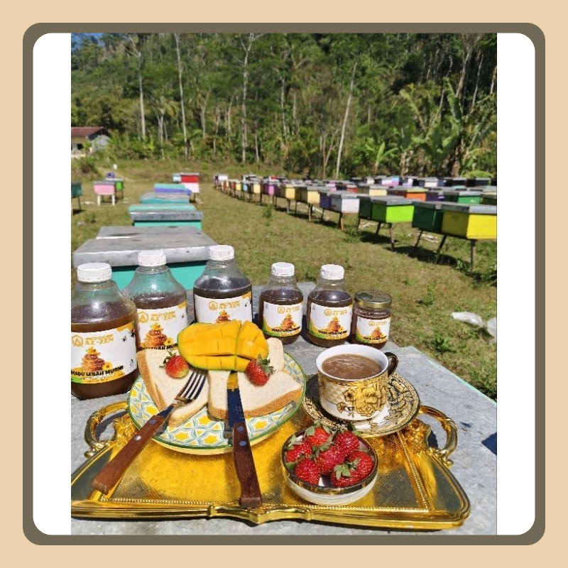 

MADU RAMBUTAN, JAMINAN DUNIA AKHIRAT MURNI DARI NEKTAR BUNGA, 100% MADU MURNI DARI ALAM, HASIL PANEN SENDIRI