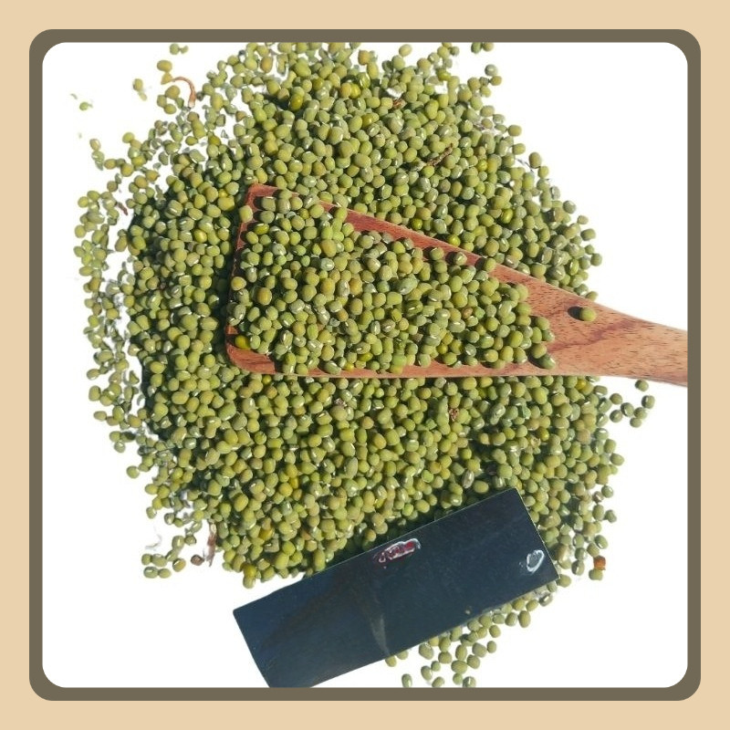 

1KG Kacang Hijau Kualitas Super | Berat 1000gr Untuk Bubur