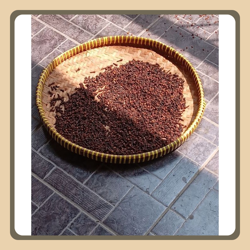 

cengkeh kering 1 kg