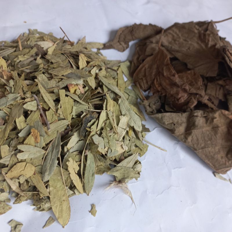 

MURAH Paket Teh Diet Daun Jati Cina&Jati Belanda @50gr