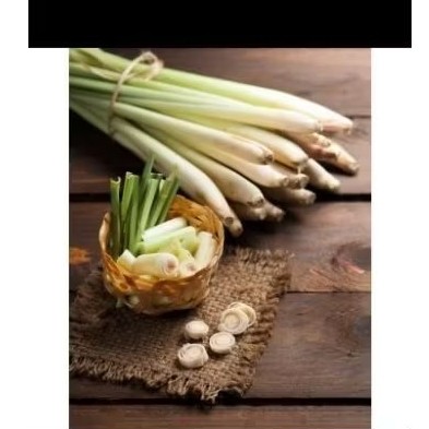 

sereh bangkok serai wangi sereh serai 1kg termurah