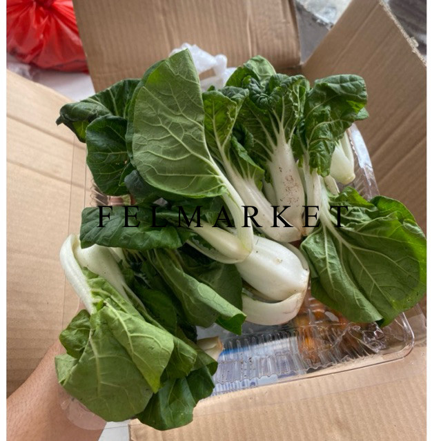 

Sayur Siu Tau Pai Fresh / Sayur To Pai Cai Segar / -+ 300 grm / Pack
