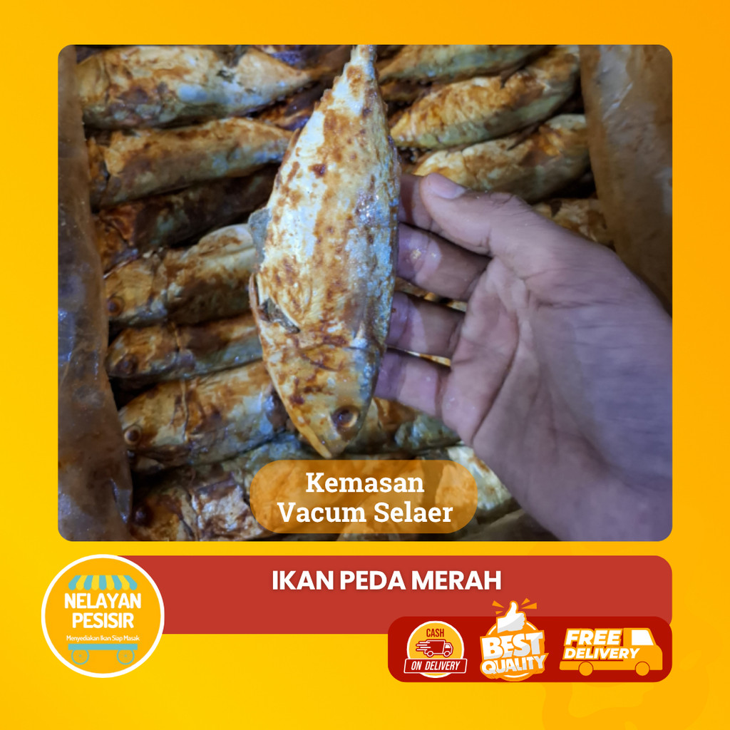 

Peda Merah Asin Ikan Kembung Utuh Siap Goreng