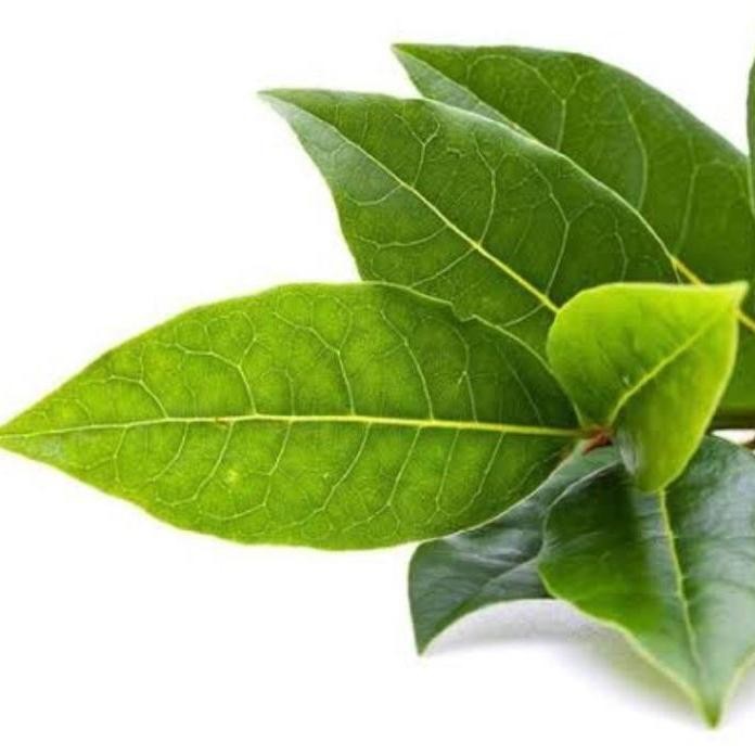 

Daun Salam 100gr