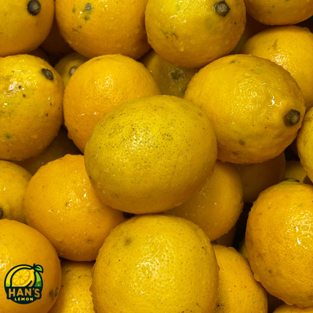 

Jeruk Lemon California Super 1 KG by Han Lemon Official