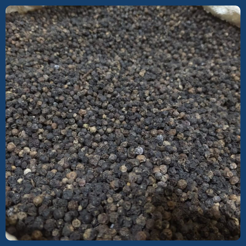 

Biji Lada Hitam 1KG Kilo/ Whole Black Pepper Murni Asli!!!