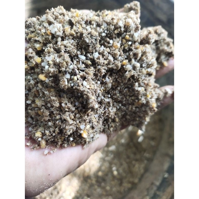 IMRON PRIBADI Paket 10 Kg PAKAN AYAM Skala Rumahan Feed Mix Alternatif PEMBESAR DOC  Fermentasi Keri