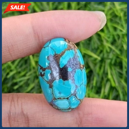 Pirus Persia Motif Unik Langka