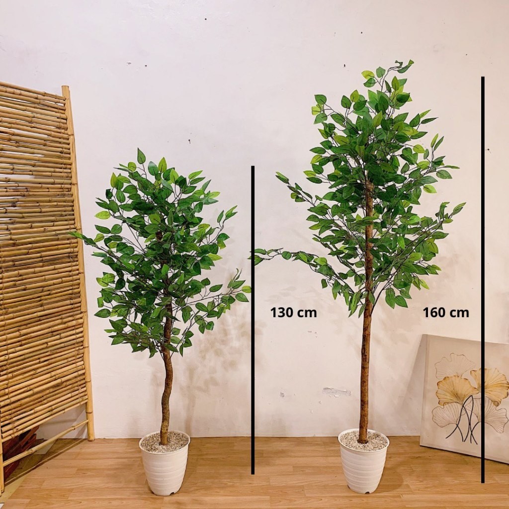 Pohon Beringin Artificial / Dekorasi Rumah Pohon Artificial Beringin