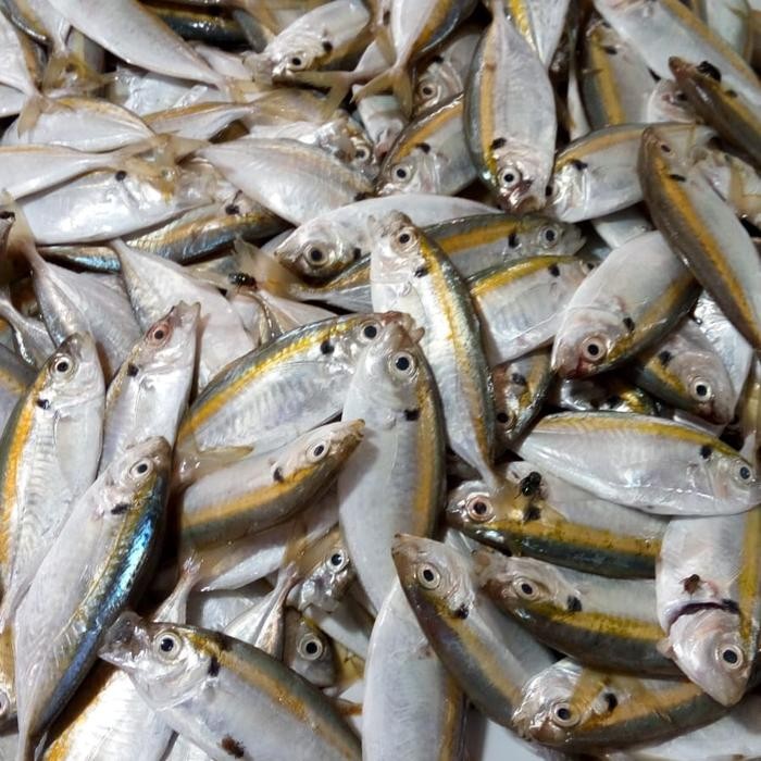 

Ikan Selar 1 kg