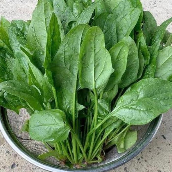 

Bayam Jepang 1 kg