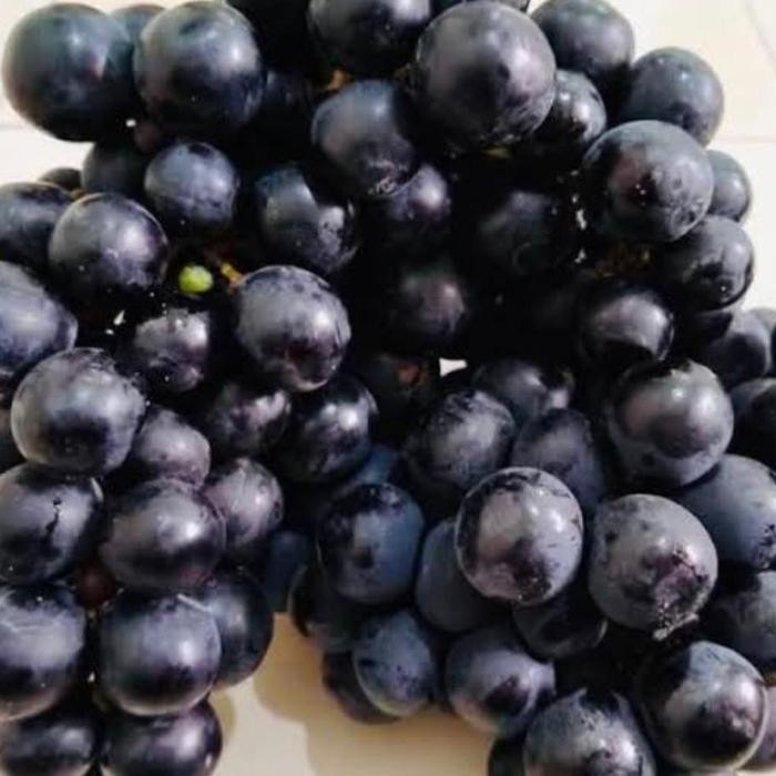 

Autumn Royal Hitam 500gr