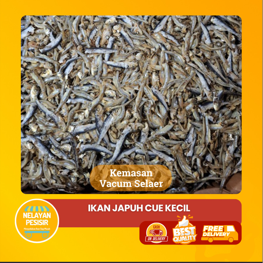 

Ikan Japuh Cue Kering Utuh Mentah Tidak Amis Siap Goreng Kualitas Premium