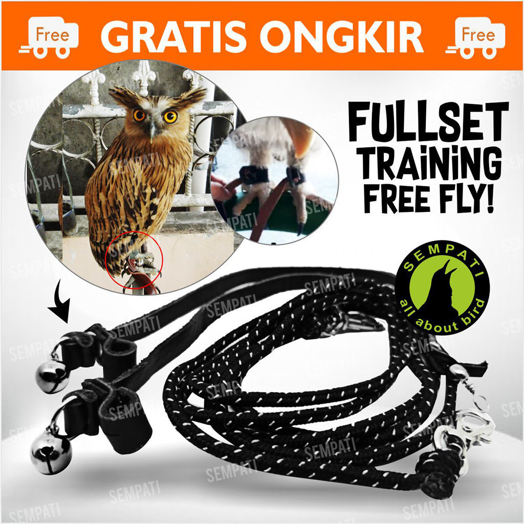 

SEMPATI ANKLET CELEPUK ANGKLET CELEPUK TALI BURUNG HANTU ELANG OWL ALAP ALAP KABIT KASTREL BOP KNOTS S ANGBH